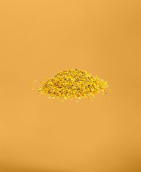 Blütenpollen - Multiflora 500g