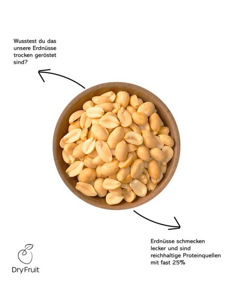 Erdnusskerne trocken geröstet 2Kg